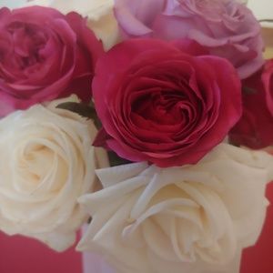 Meet your Posher, Somonya